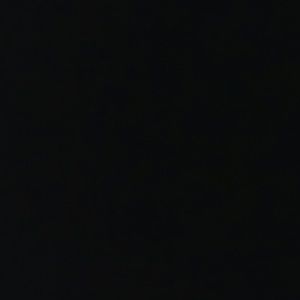 Meet your Posher, Britteney